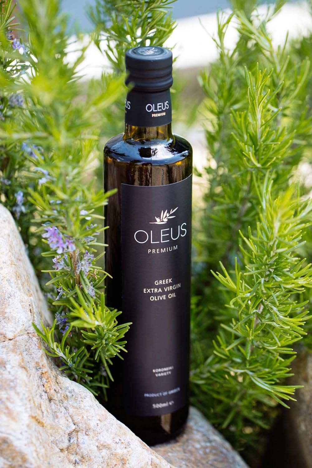 Probierset Öl & Essig, Oleus Griechisches Olivenöl extra nativ 500ml + Balsamico Essig 250ml