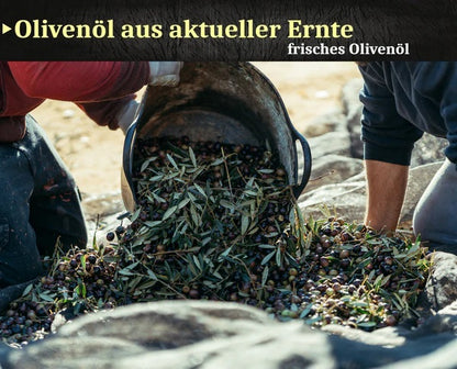 Lamda Estate Griechisches Olivenöl extra nativ 3 Liter